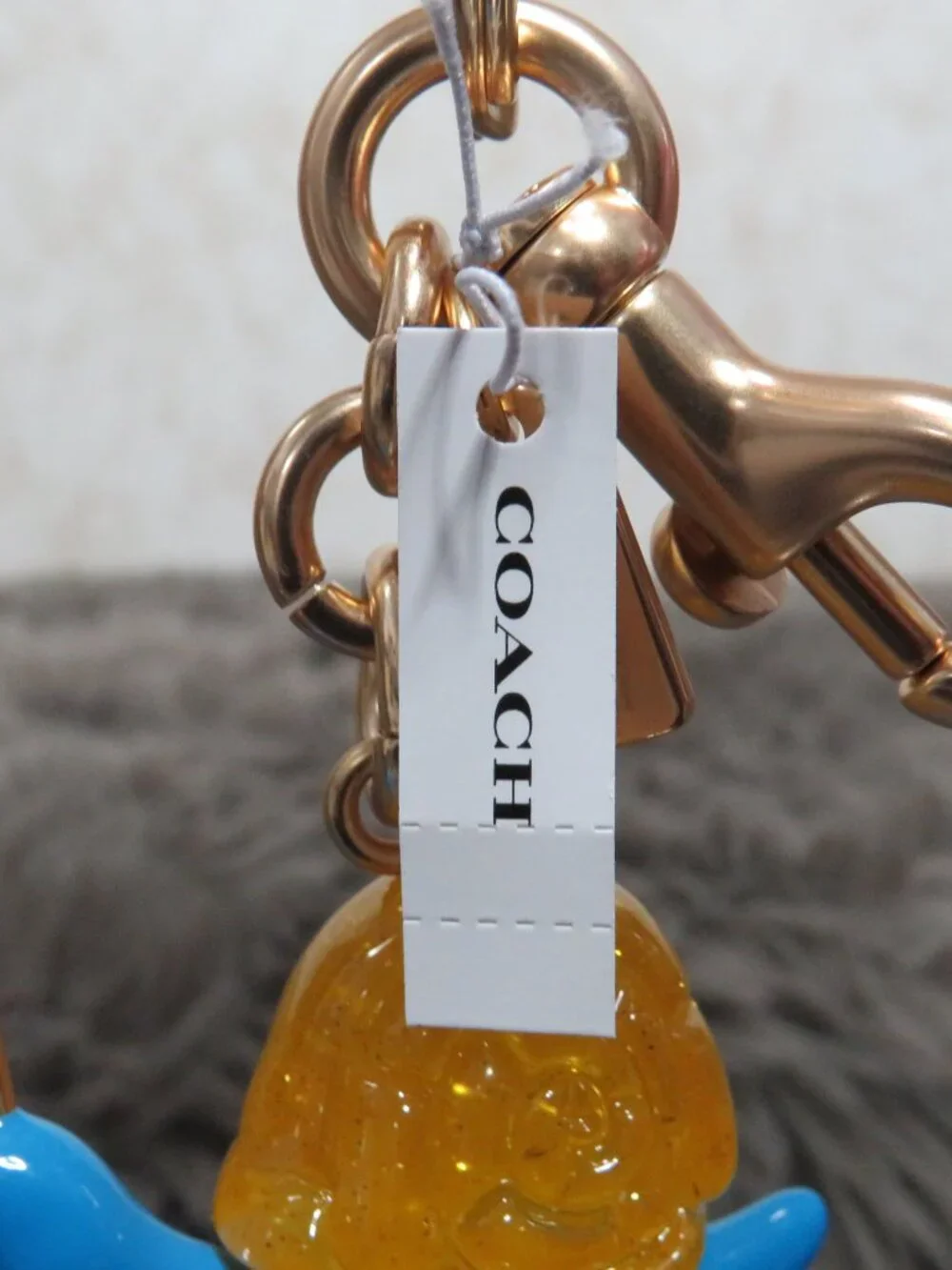Coach Observed By Us Snail Bag Charm (Multicolor)